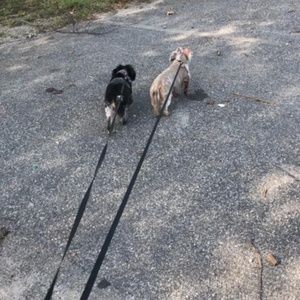 Meet your Posher, Lynne